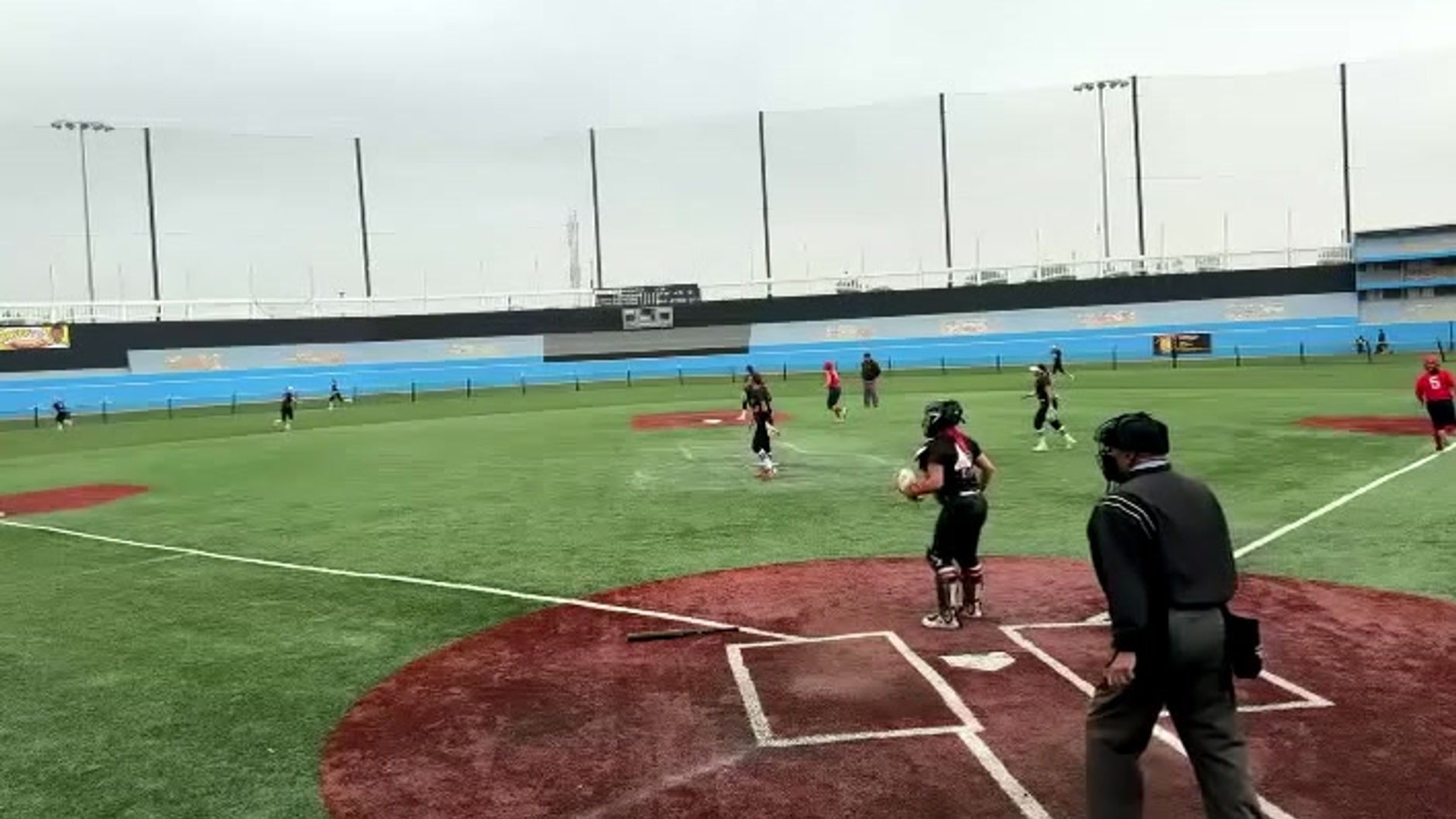 Nevaeh Top Dog Performance